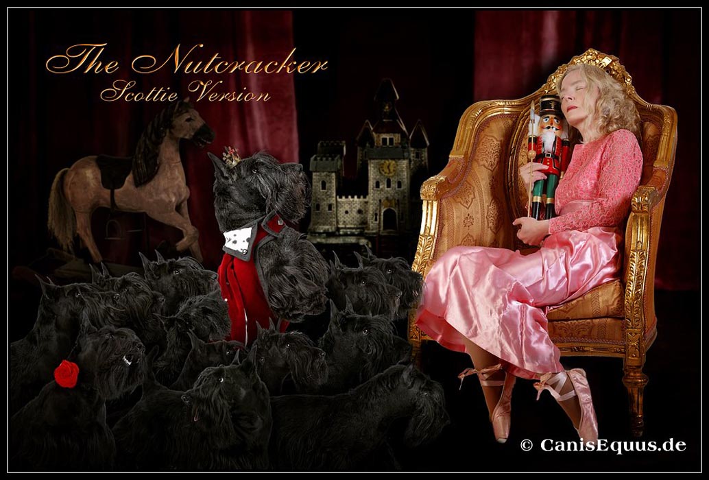 canisequus_nutcracker Scottie version